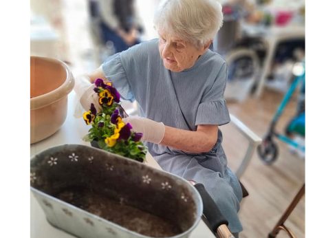 Rezydencja Honorata emeis